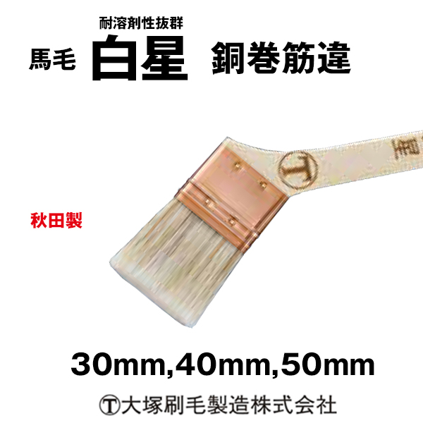 刷毛 白星 銅巻筋違 大塚刷毛 耐溶剤性抜群  5本/10本